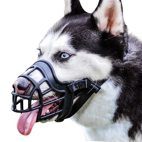 Muzzle in Tagalog .